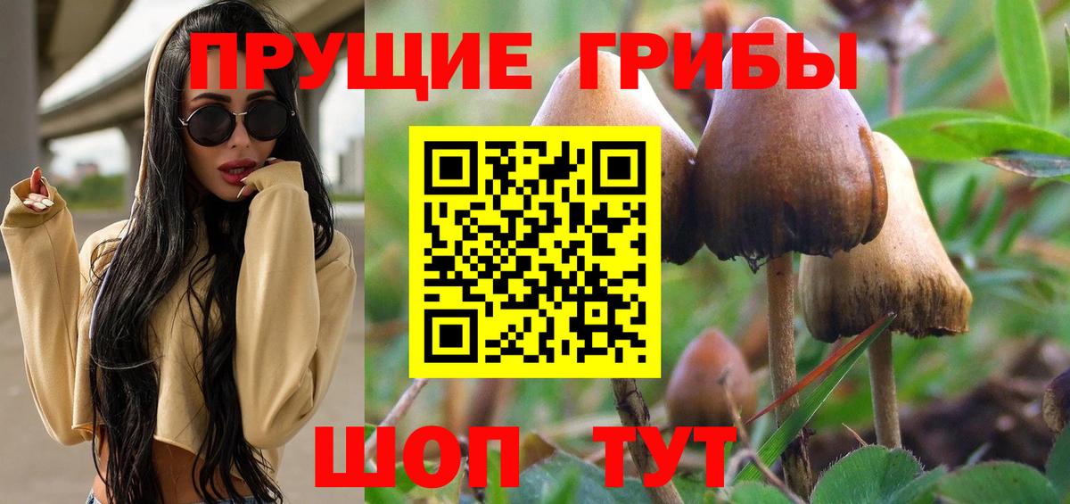 Псилоцибиновые грибы прущие грибы Вольск
